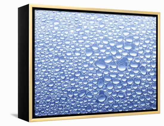 Drops of Water on Sheet of Glass with Blue Background-Marc O^ Finley-Framed Premier Image Canvas