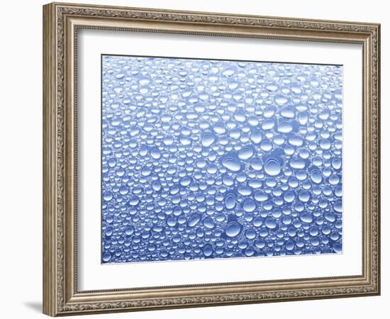 Drops of Water on Sheet of Glass with Blue Background-Marc O^ Finley-Framed Photographic Print