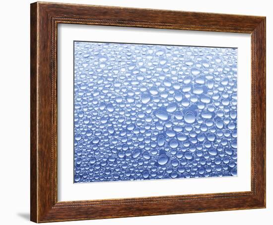 Drops of Water on Sheet of Glass with Blue Background-Marc O^ Finley-Framed Photographic Print