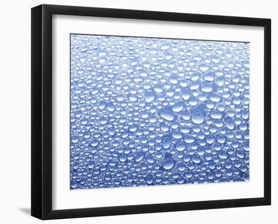 Drops of Water on Sheet of Glass with Blue Background-Marc O^ Finley-Framed Photographic Print