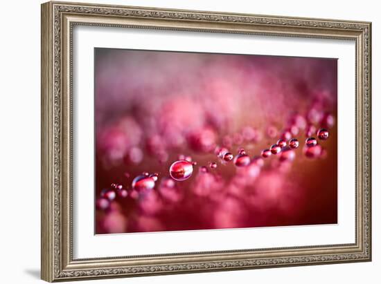 Drops on My Honda-Ursula Abresch-Framed Photographic Print