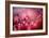 Drops on My Honda-Ursula Abresch-Framed Photographic Print