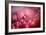 Drops on My Honda-Ursula Abresch-Framed Photographic Print