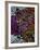 Drops-Abstract Graffiti-Framed Giclee Print