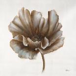 Sepia Poppy II-Drotar Drotar-Framed Giclee Print