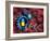 Drugs In Sport-Victor Habbick-Framed Photographic Print