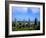 Druid Circle, Ardgroom Outward, County Cork, Ireland-Marilyn Parver-Framed Photographic Print