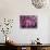 Drum in Temple During Holi Festival, Mathura, Uttar Pradesh, India-Peter Adams-Photographic Print displayed on a wall