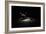 Drum Kit, Elevated View-Thomas Northcut-Framed Photographic Print