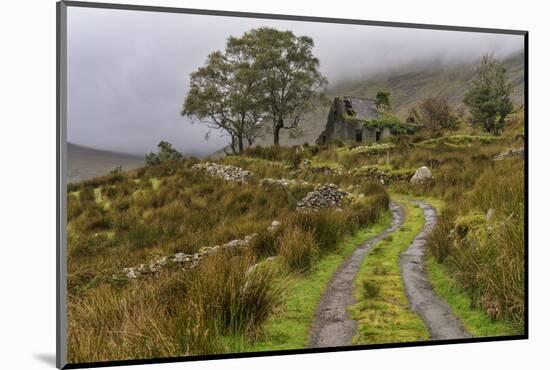 Drumluska, Black Valley, County Kerry, Munster, Republic of Ireland, Europe-Carsten Krieger-Mounted Photographic Print