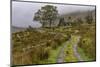 Drumluska, Black Valley, County Kerry, Munster, Republic of Ireland, Europe-Carsten Krieger-Mounted Photographic Print