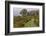 Drumluska, Black Valley, County Kerry, Munster, Republic of Ireland, Europe-Carsten Krieger-Framed Photographic Print