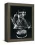 Drummer Gene Krupa Playing Drum at Gjon Mili's Studio-Gjon Mili-Framed Premier Image Canvas
