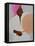 Drummer, Pink Turban-Lincoln Seligman-Framed Premier Image Canvas