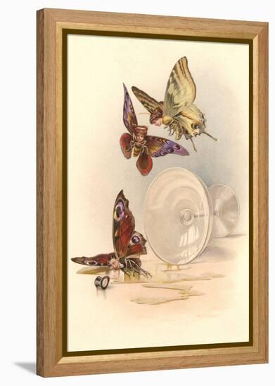 Drunken Butterflies-null-Framed Stretched Canvas