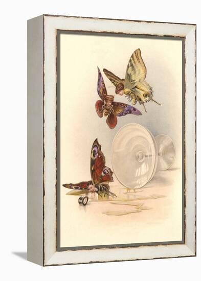 Drunken Butterflies-null-Framed Stretched Canvas