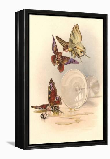 Drunken Butterflies-null-Framed Stretched Canvas