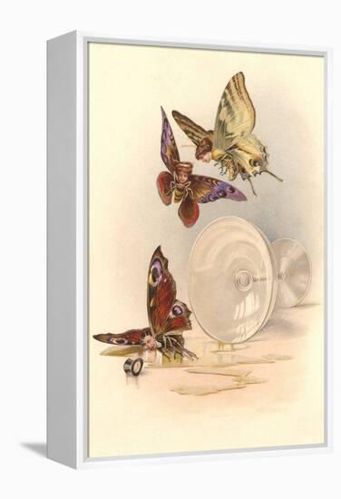 Drunken Butterflies-null-Framed Stretched Canvas