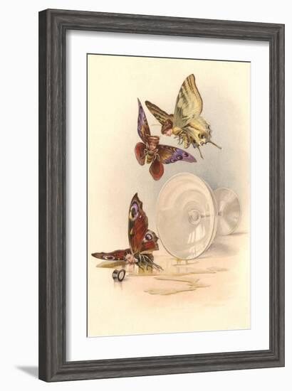 Drunken Butterflies-null-Framed Art Print