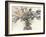 Dry Arrangement I-Samuel Dixon-Framed Art Print