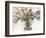 Dry Arrangement I-Samuel Dixon-Framed Premium Giclee Print