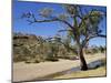 Dry Bed of Todd River, Alice Springs, Northern Territory, Australia, Pacific-Ken Gillham-Mounted Photographic Print