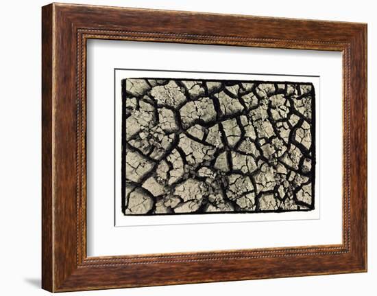 Dry, Cracked, Parched Earth in South Luangwa Valley National Park, Zambia-Paul Joynson Hicks-Framed Photographic Print