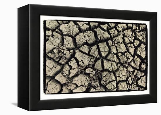 Dry, Cracked, Parched Earth in South Luangwa Valley National Park, Zambia-Paul Joynson Hicks-Framed Premier Image Canvas