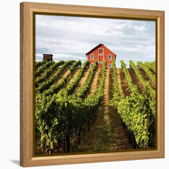 Dry Creek Barn-Lance Kuehne-Framed Premier Image Canvas