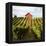 Dry Creek Barn-Lance Kuehne-Framed Premier Image Canvas