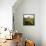 Dry Creek Barn-Lance Kuehne-Framed Premier Image Canvas displayed on a wall
