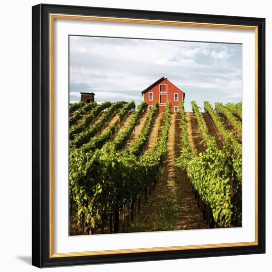 Dry Creek Barn-Lance Kuehne-Framed Photographic Print