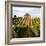 Dry Creek Barn-Lance Kuehne-Framed Photographic Print