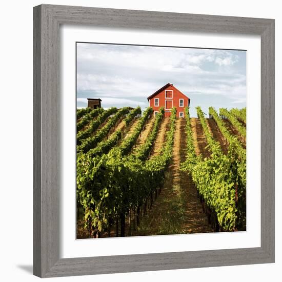 Dry Creek Barn-Lance Kuehne-Framed Photographic Print