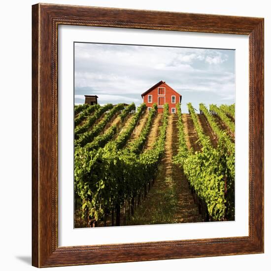 Dry Creek Barn-Lance Kuehne-Framed Photographic Print