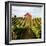 Dry Creek Barn-Lance Kuehne-Framed Photographic Print