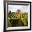 Dry Creek Barn-Lance Kuehne-Framed Photographic Print