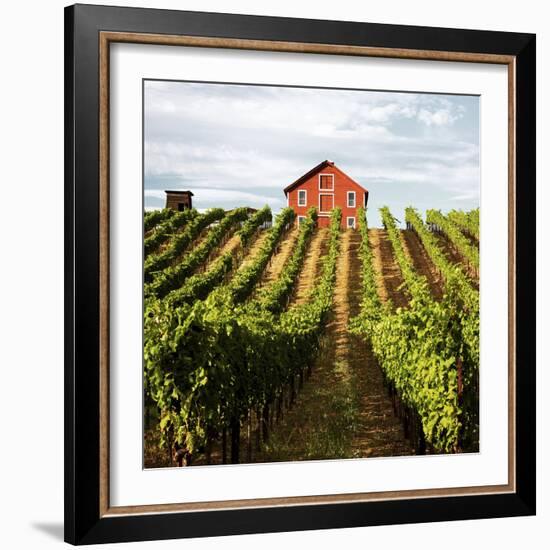 Dry Creek Barn-Lance Kuehne-Framed Photographic Print