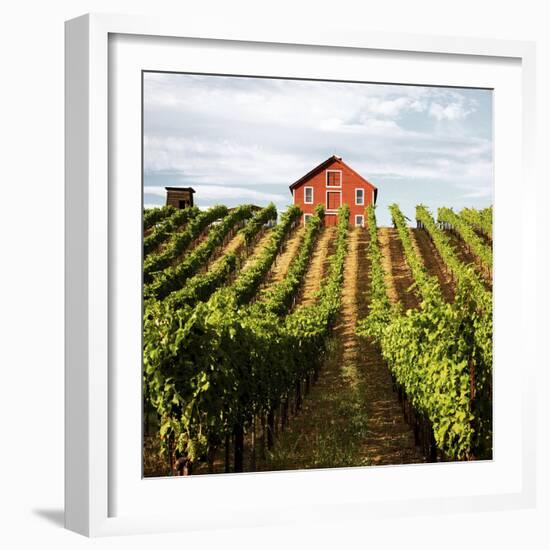 Dry Creek Barn-Lance Kuehne-Framed Photographic Print