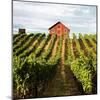 Dry Creek Barn-Lance Kuehne-Mounted Photographic Print