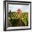 Dry Creek Barn-Lance Kuehne-Framed Photographic Print