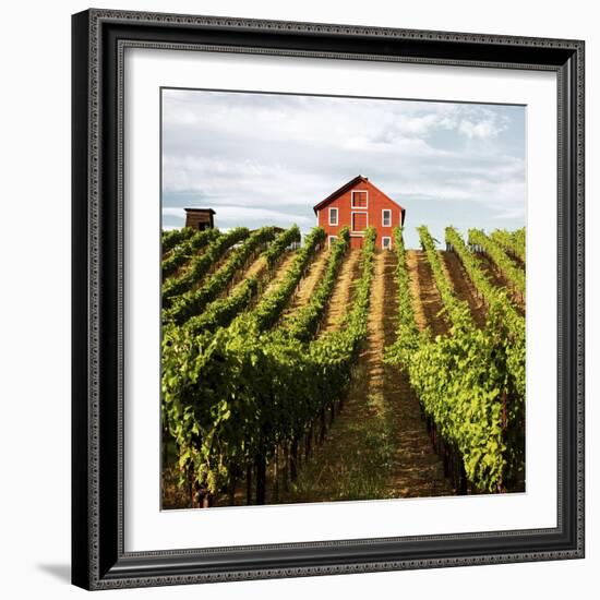 Dry Creek Barn-Lance Kuehne-Framed Photographic Print