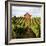 Dry Creek Barn-Lance Kuehne-Framed Photographic Print