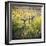 Dry Creek-Lance Kuehne-Framed Photographic Print