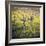 Dry Creek-Lance Kuehne-Framed Photographic Print