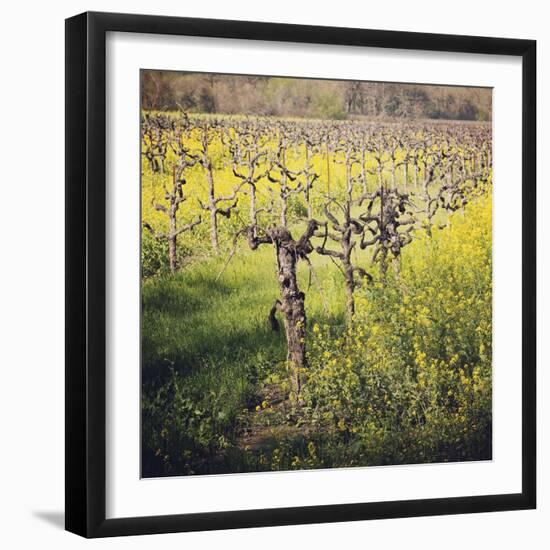 Dry Creek-Lance Kuehne-Framed Photographic Print