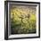 Dry Creek-Lance Kuehne-Framed Photographic Print