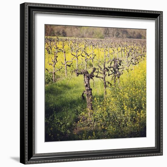 Dry Creek-Lance Kuehne-Framed Photographic Print