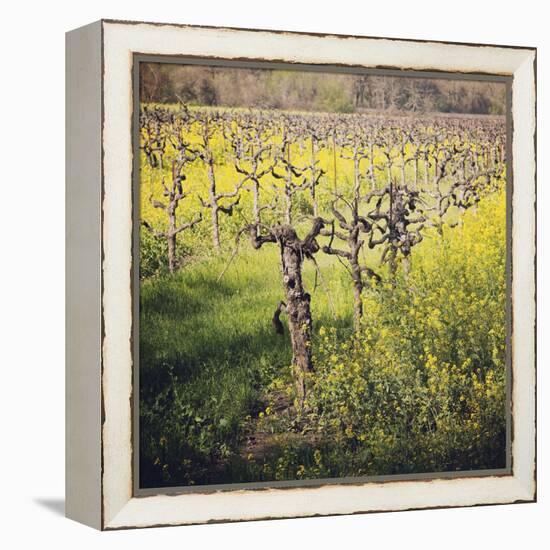 Dry Creek-Lance Kuehne-Framed Premier Image Canvas