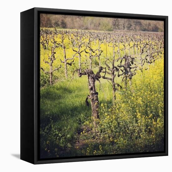 Dry Creek-Lance Kuehne-Framed Premier Image Canvas